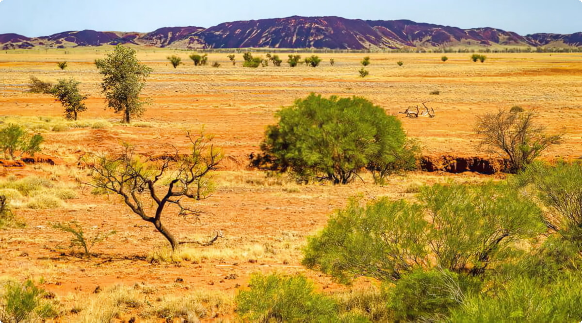 ¿Cuáles son las opciones de vehículos más populares en Karratha?